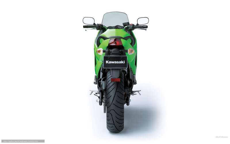 Green Kawasaki Motorcycle — Neutral, Photograph, Rear View, Taillight