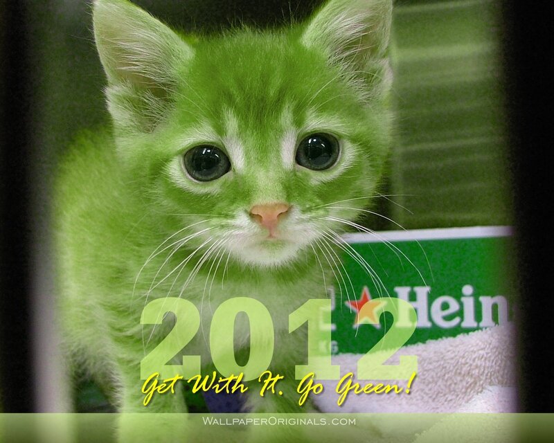 Green Kitten