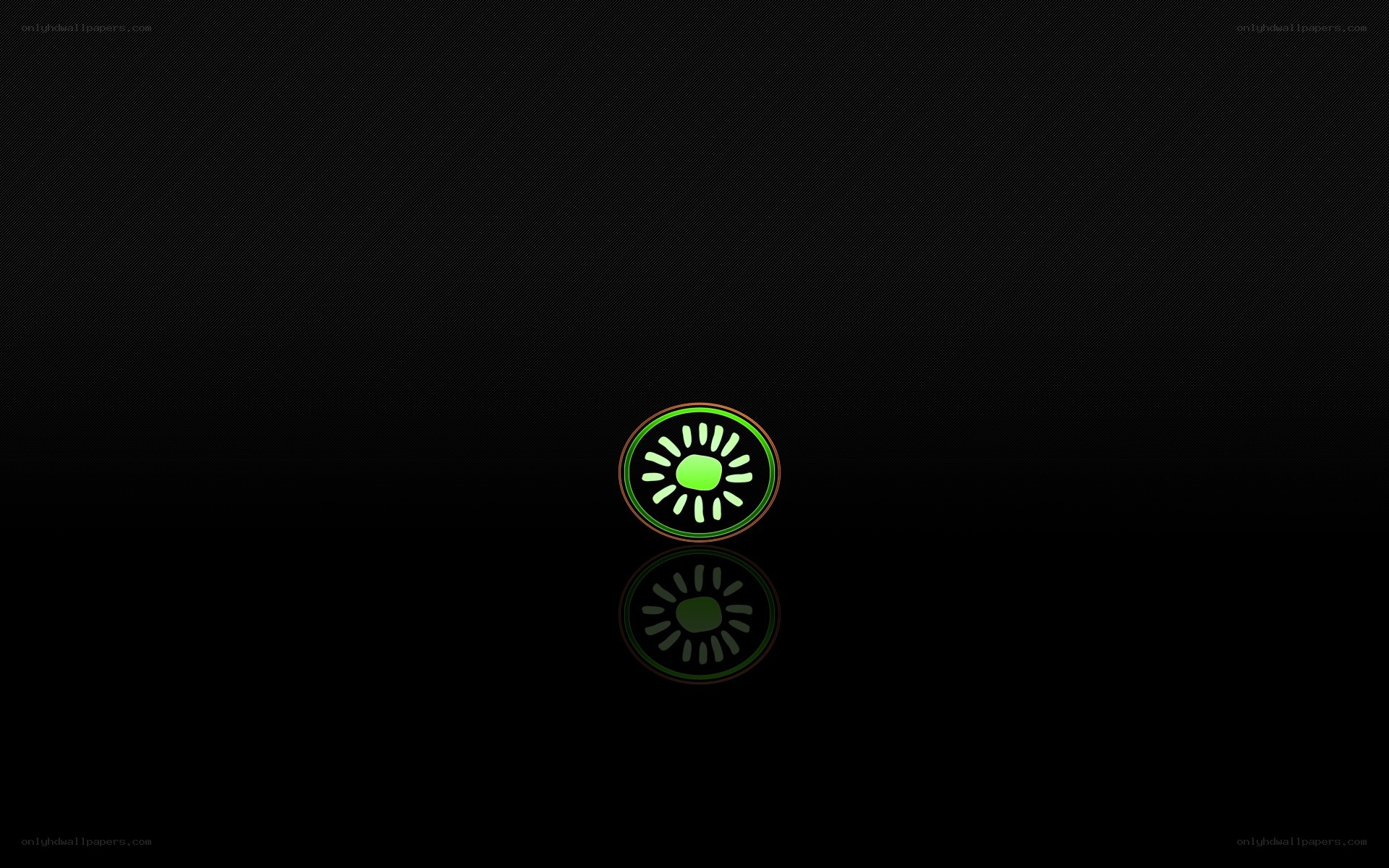 green kiwi logo on black