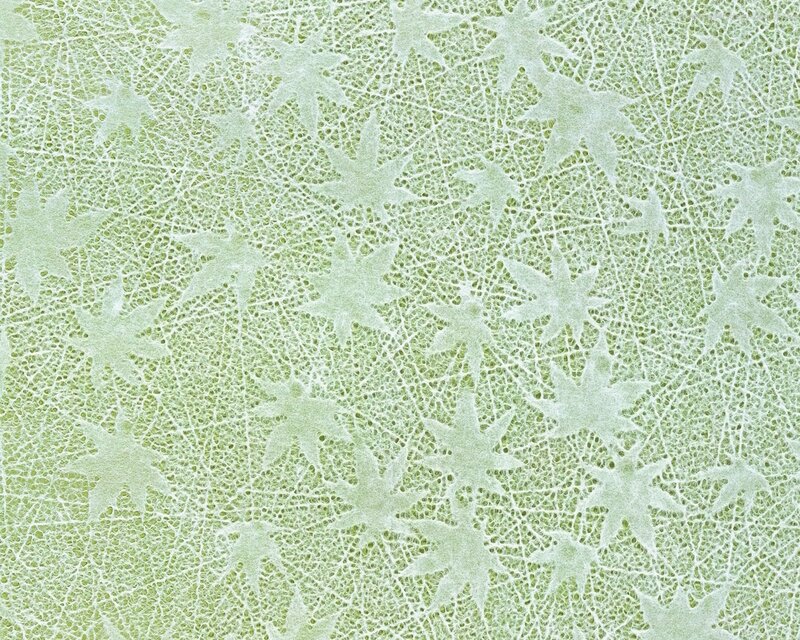 green lace pattern texture