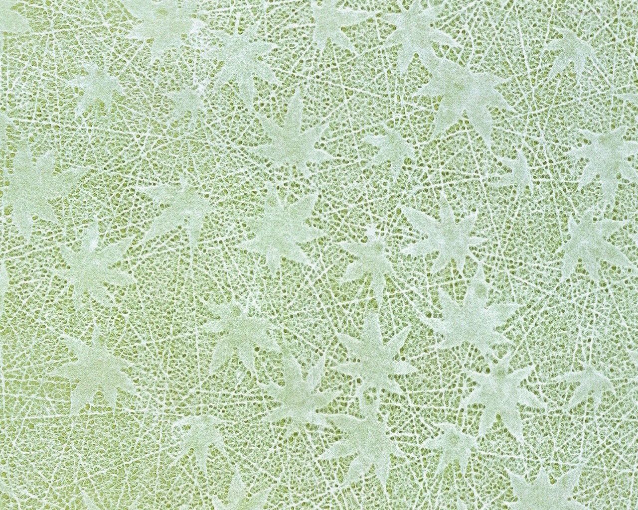 green lace pattern texture