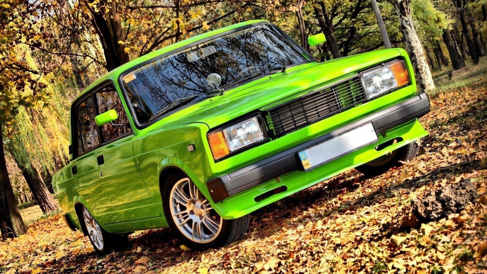 Green Lada in autumn forest