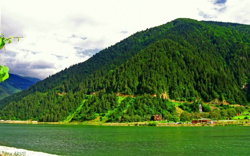 Green lake and forested mountain
