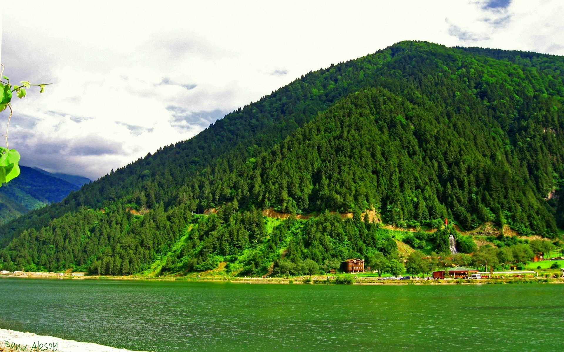 Green lake and forested mountain