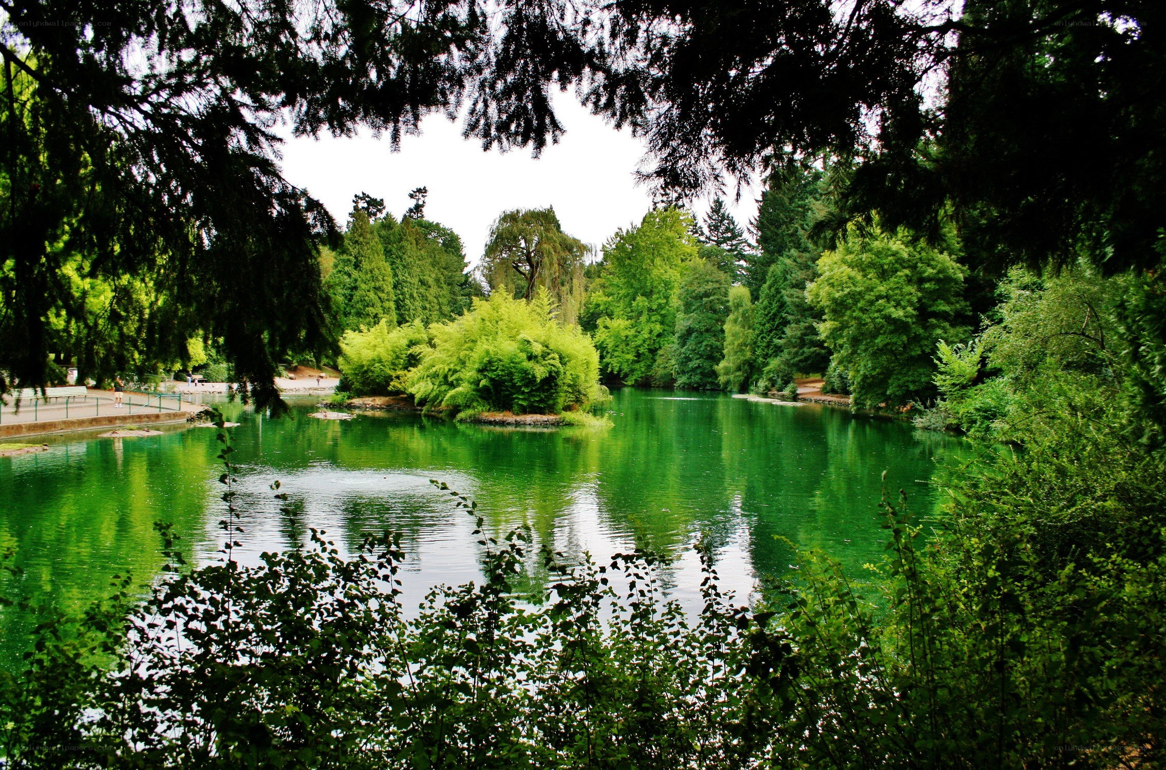 Green lake in a park