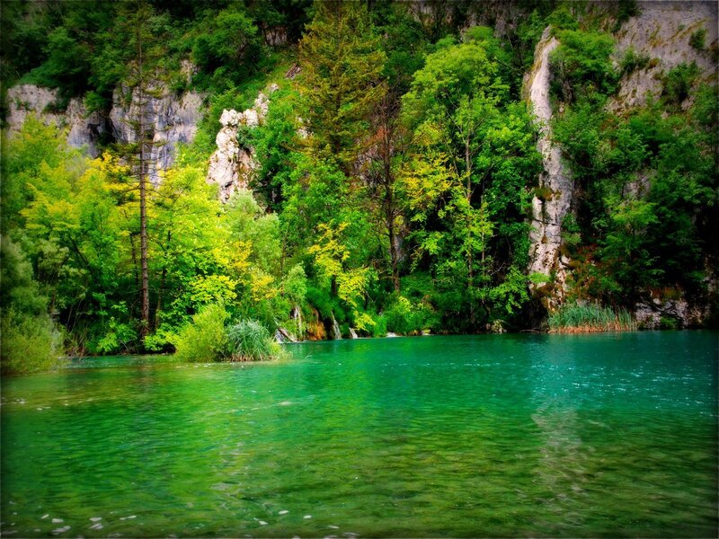 green lake in forest