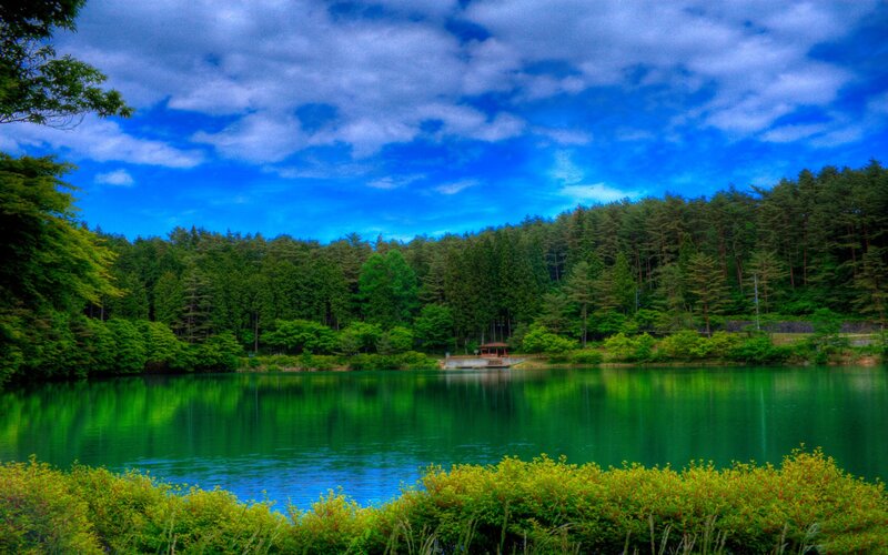 Green Lake in Forest — Blue, Serene, Afternoon
