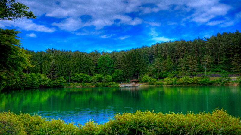 Green Lake in Forest — Blue