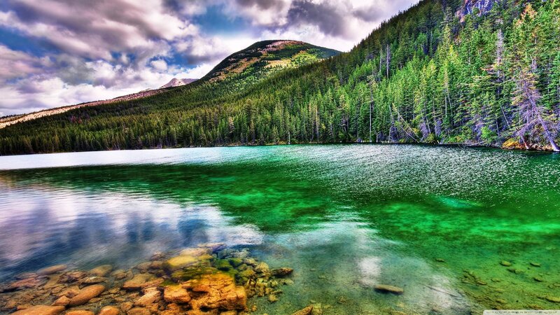 Green Lake in Forest — Dramatic, Afternoon