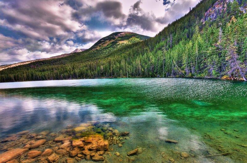 Green Lake in Forest — Dramatic