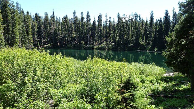 Green Lake in Forest — Serene, Afternoon, Photograph, Trees, Bushes