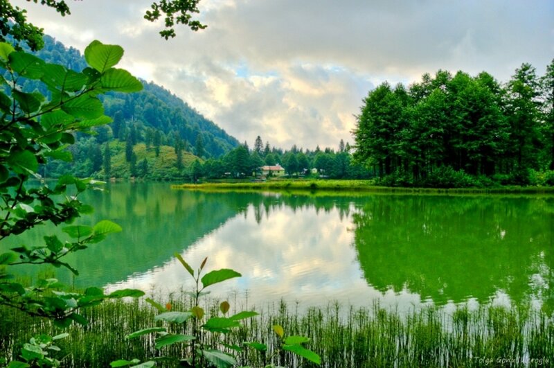 Green Lake in Forest — Serene, Afternoon, Photograph, Trees, Mountain, Clouds