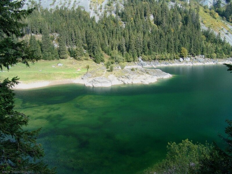 Green Lake in Forest — Serene, Afternoon, Photograph, Trees, Mountain, Shore, Blue
