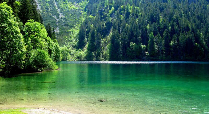 Green Lake in Forest — Serene, Afternoon, Photograph, Trees, Mountain, Shore