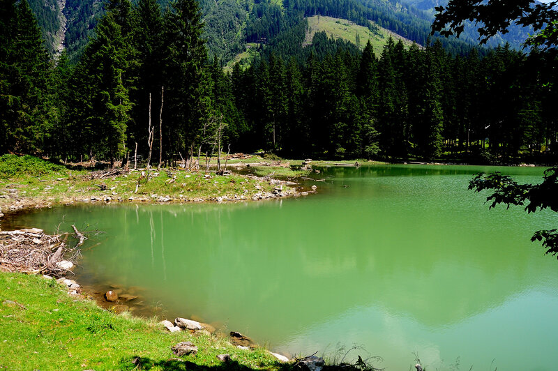 Green Lake in Forest — Serene, Afternoon, Photograph, Trees, Mountain