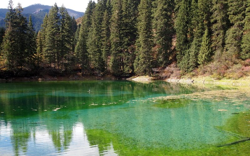 Green Lake in Forest — Serene, Afternoon, Photograph, Trees, Mountains, Dock