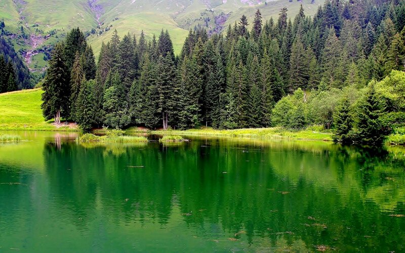 Green Lake in Forest — Serene, Afternoon, Photograph, Trees, Mountains, Grass