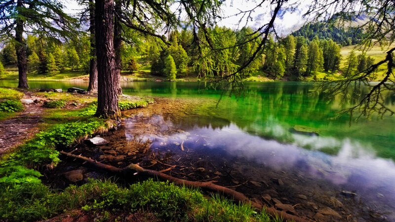 Green Lake in Forest — Serene, Afternoon, Photograph, Trees, Mountains, River