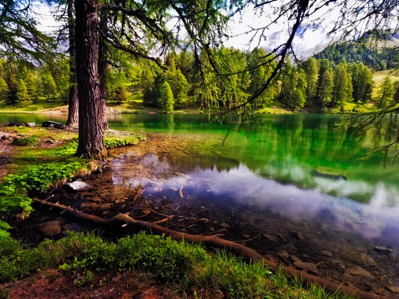 Green Lake in Forest — Serene, Afternoon, Photograph, Trees, Mountains, Rocks