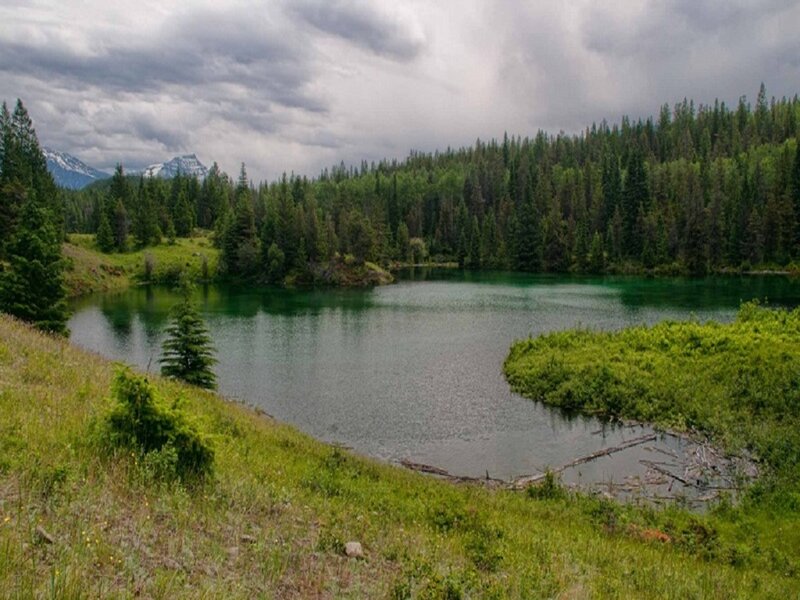 Green Lake in Forest — Serene, Afternoon, Photograph, Trees, Mountains, Sky