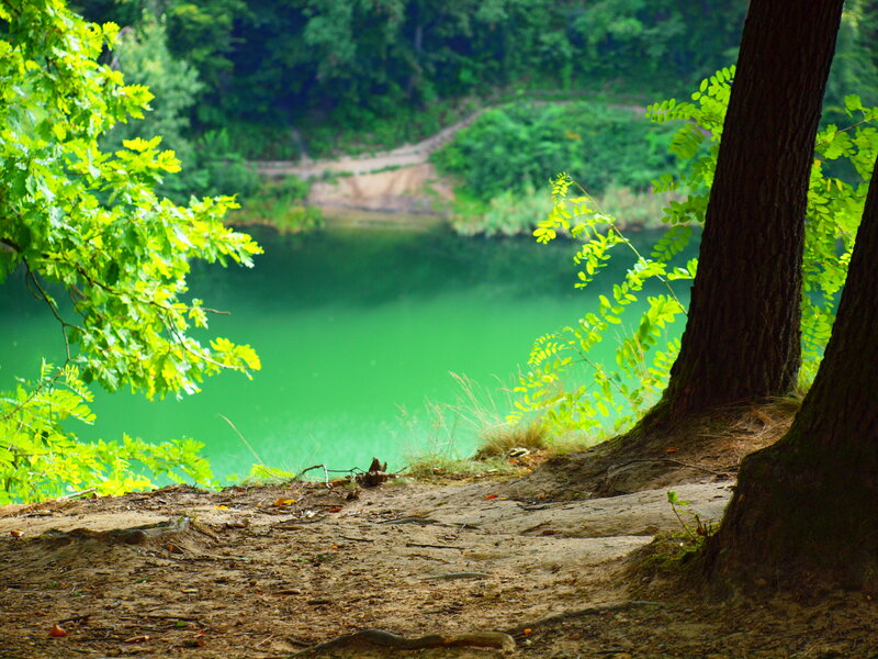 Green Lake in Forest — Serene, Afternoon, Photograph, Trees, Path