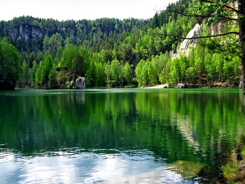 Green Lake in Forest — Serene, Afternoon, Photograph, Trees, Rocks