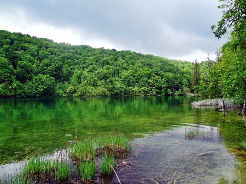 Green Lake in Forest — Serene, Afternoon, Photograph, Trees, Water