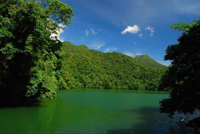 Green Lake in Forest — Serene, Afternoon