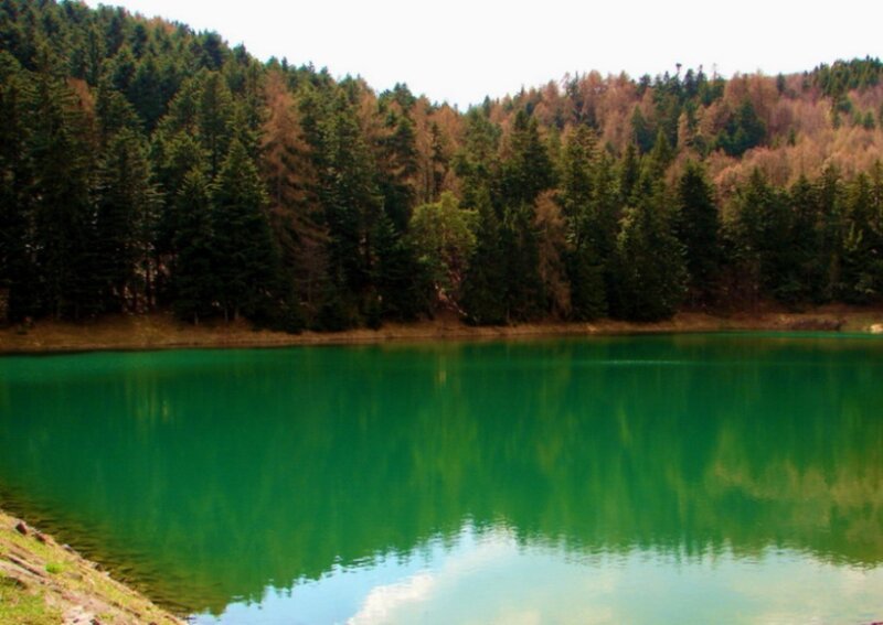 Green Lake in Forest — Serene, Autumn