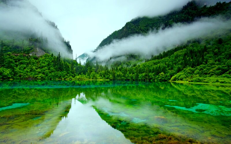 Green Lake in Forest — Serene, Morning