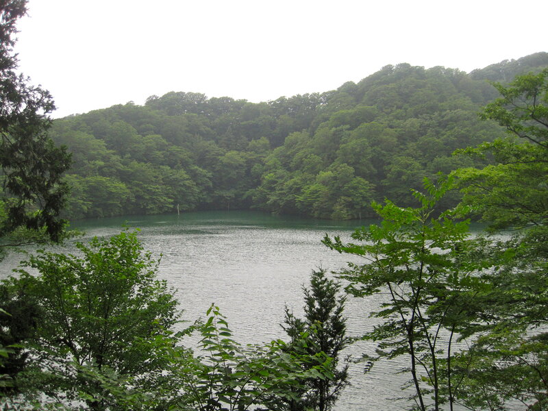Green Lake in Forest — Serene, Photograph