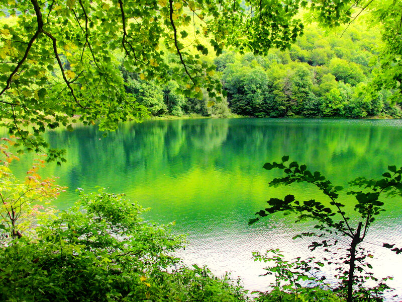 Green Lake in Forest — Serene, Summer, Photograph