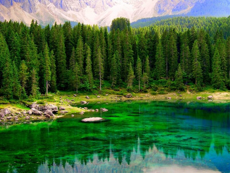 Green Lake in Forest — Serene