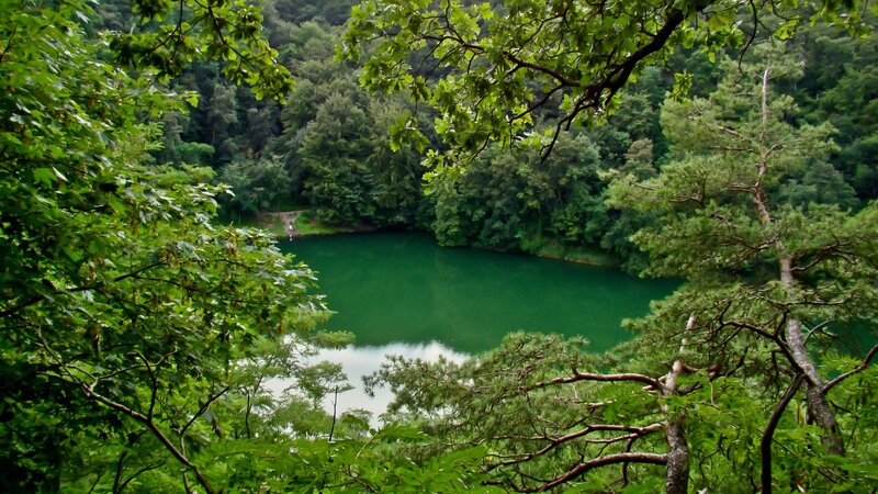 Green Lake in Forest — Trees