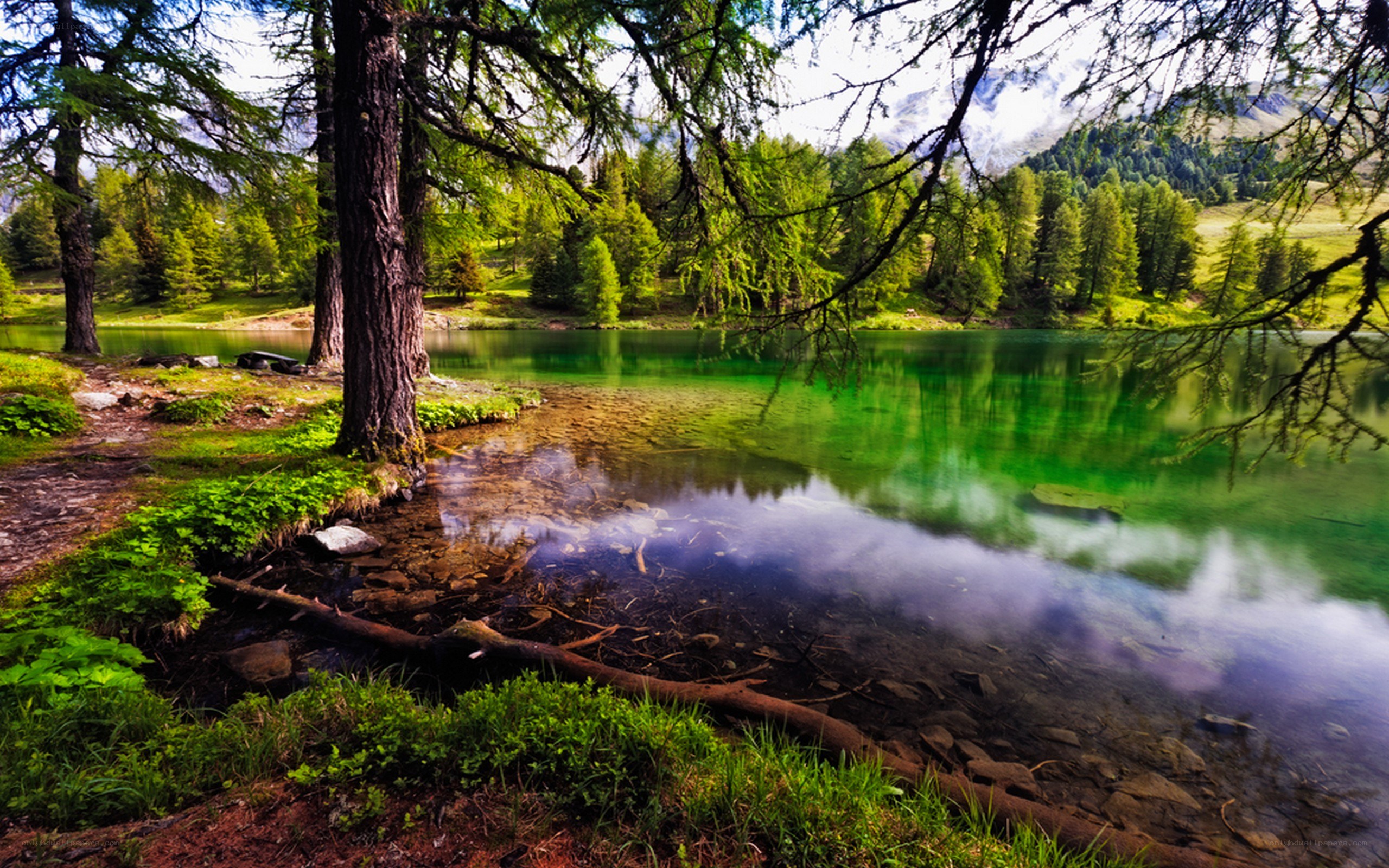 Green lake in forested mountains