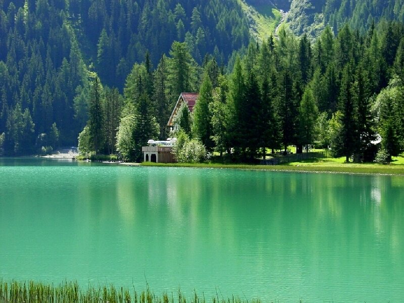 Green lake in forested mountains