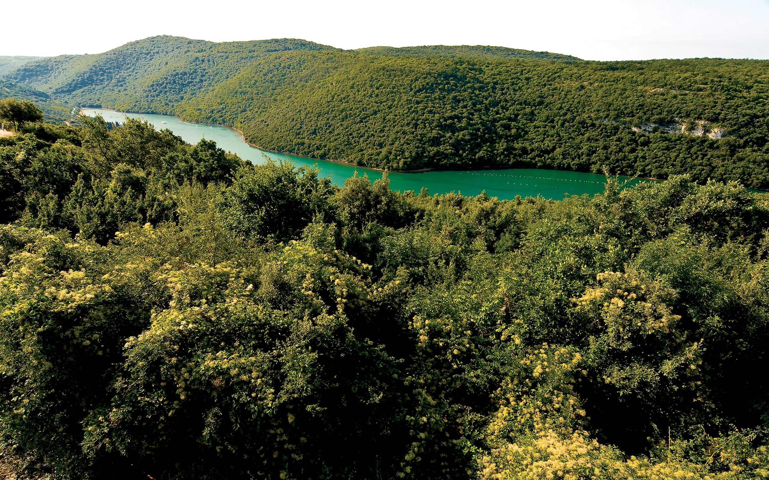 Green lake in forested valley