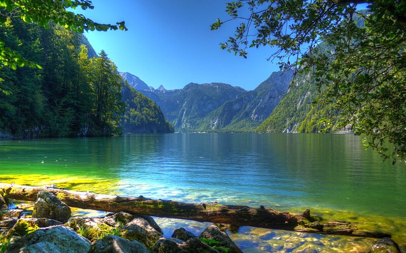 Green Lake in Mountains — Serene, Afternoon, Photograph, Trees, Log