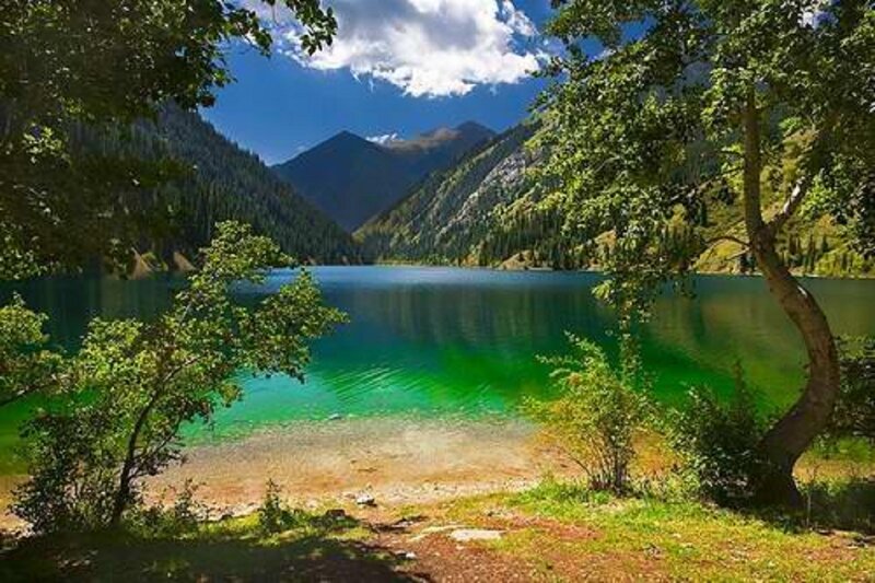 Green Lake in Mountains — Serene, Afternoon, Photograph, Trees, Sky