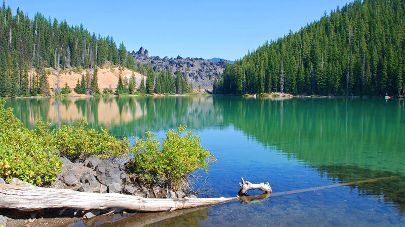 Green lake surrounded by forest