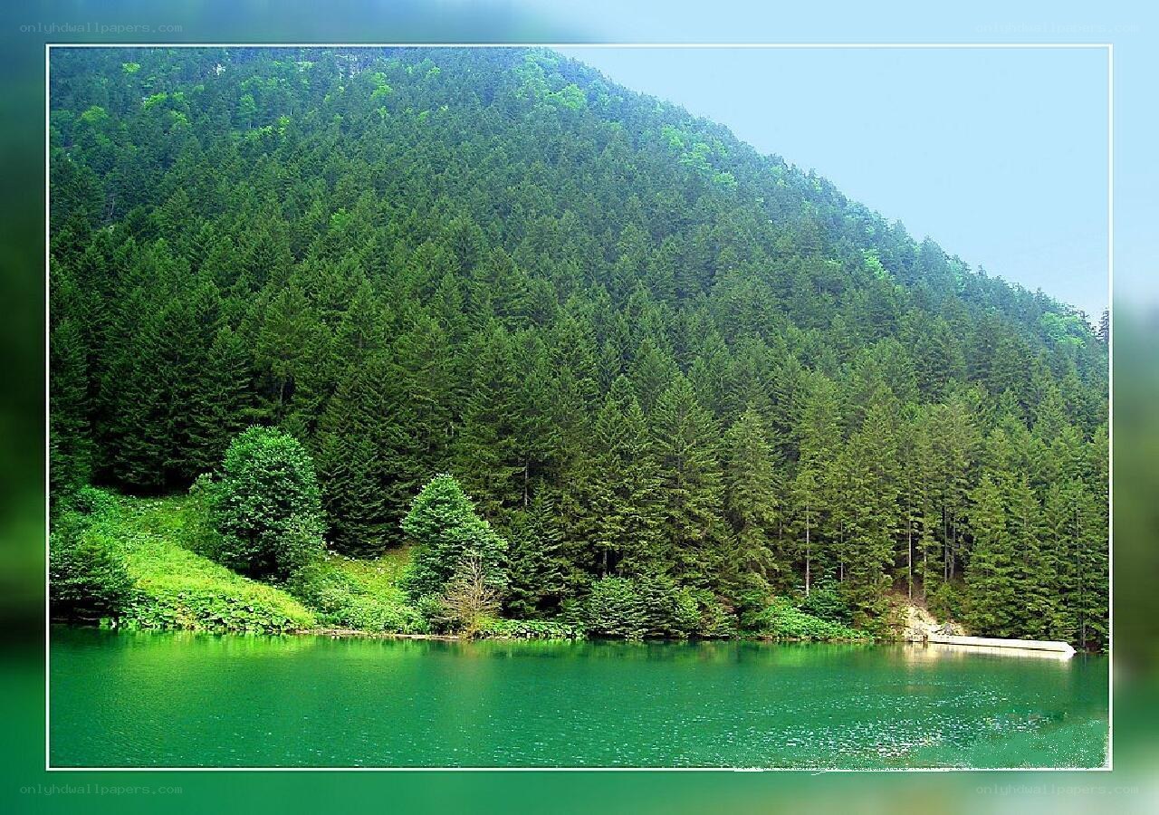 Green lake surrounded by forest