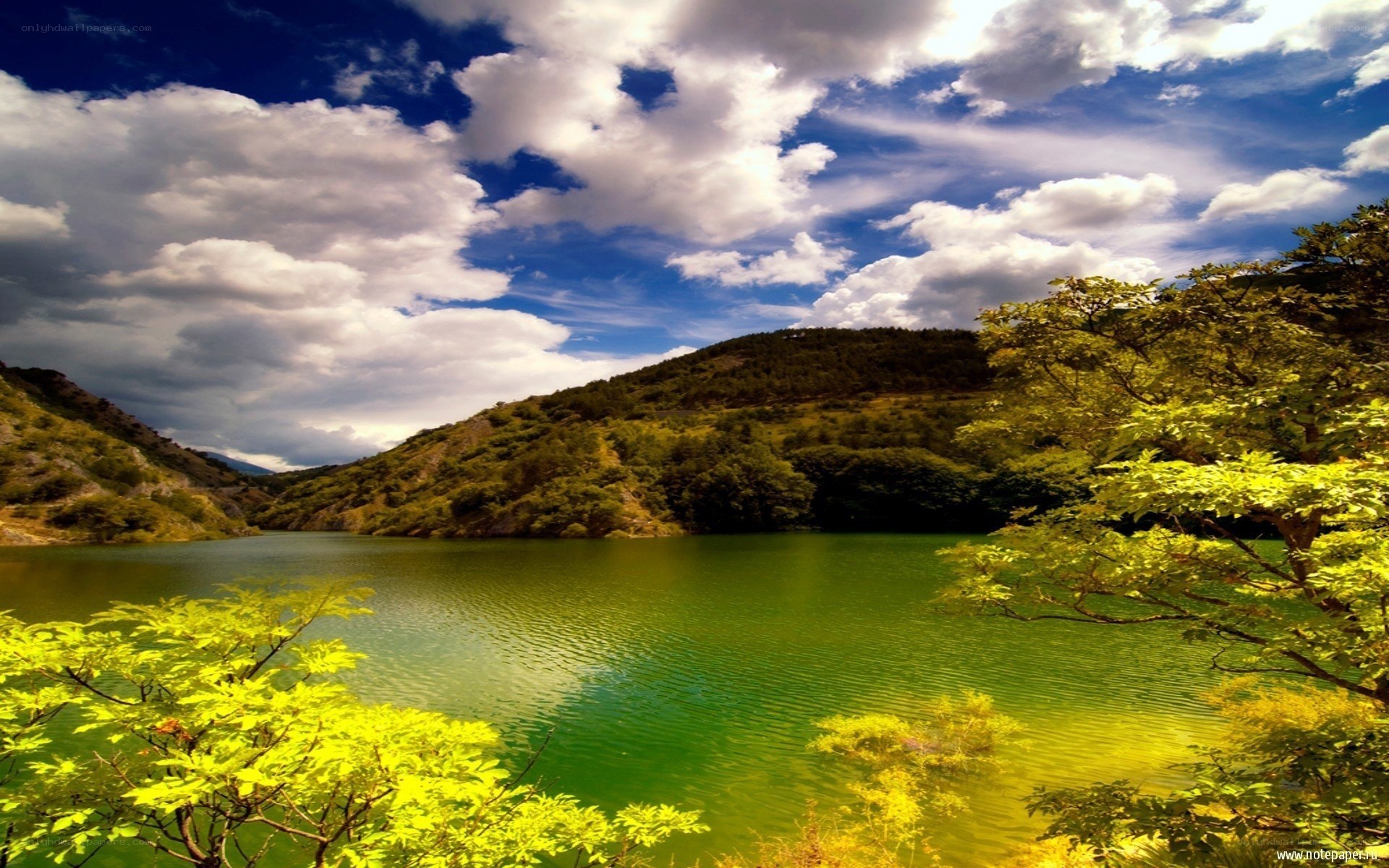 Green lake under cloudy sky