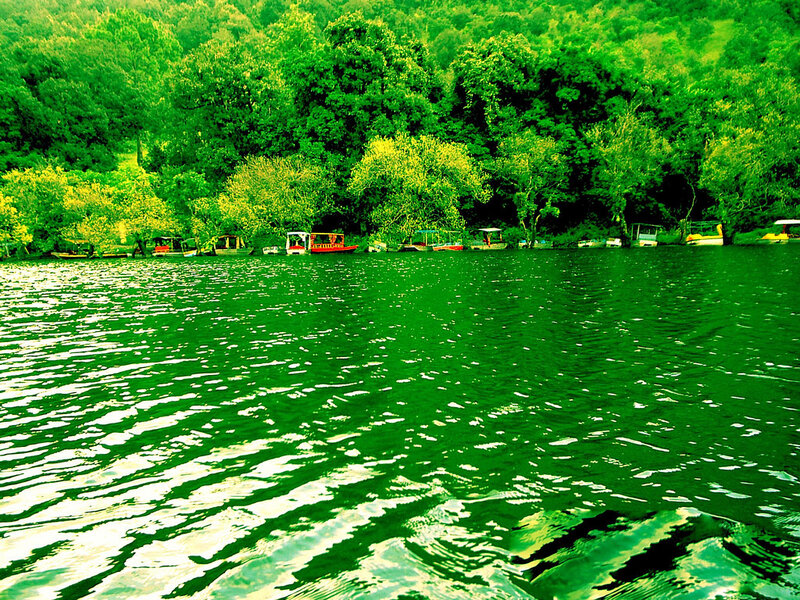 Green lake with boats and trees
