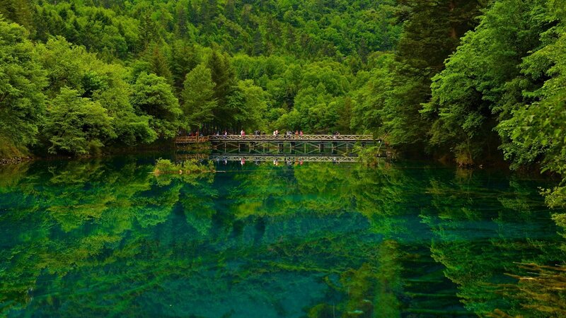 Green Lake with Bridge — Serene