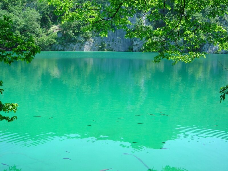 green lake with fish
