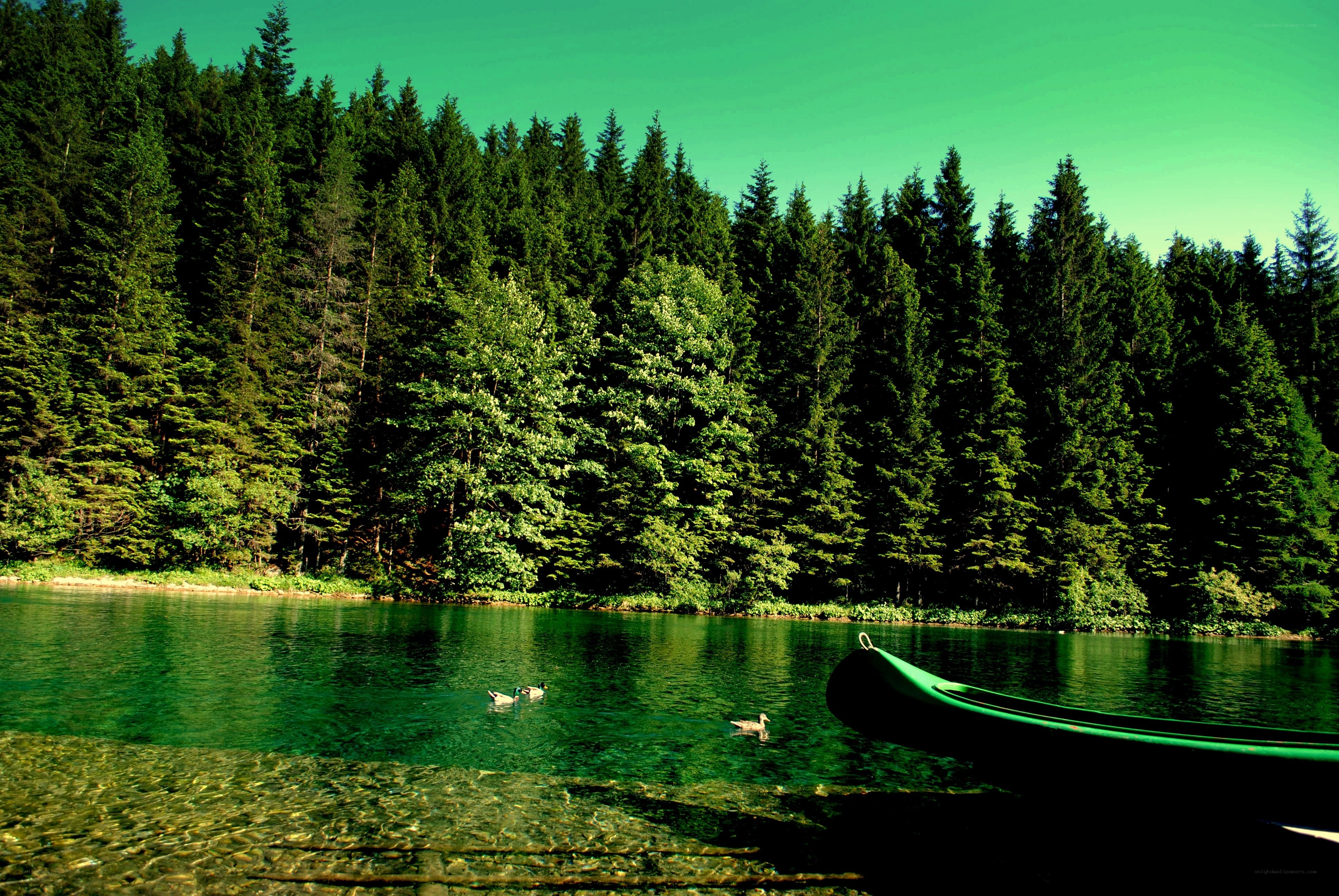Green lake with forest and canoe