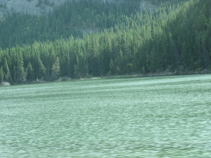 Green Lake with Forest — Serene, Afternoon