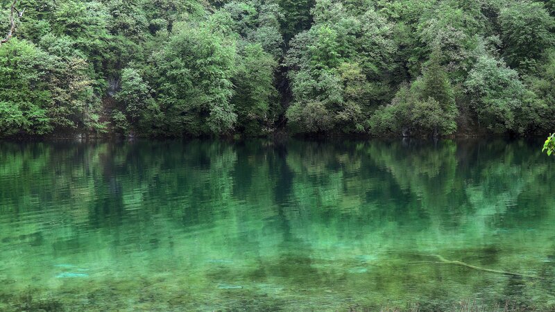 Green Lake with Forest — Serene, Photograph