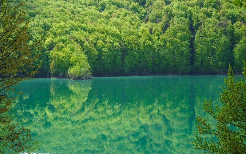 Green Lake with Forest — Serene, Spring