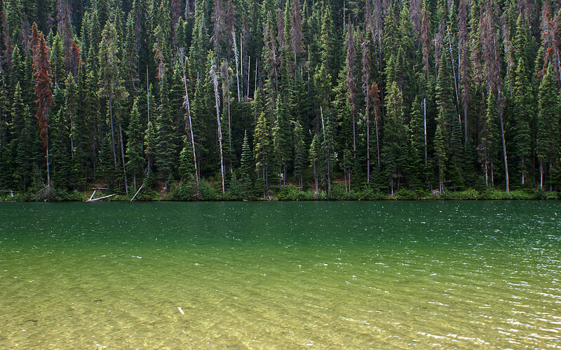 Green Lake with Forest — Serene
